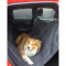 PETCOVER1